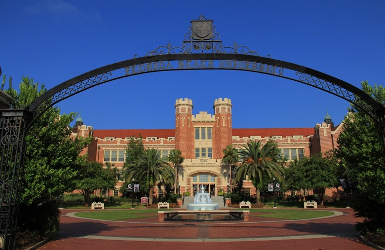 #45 Florida State University (Tallahassee, Florida) 