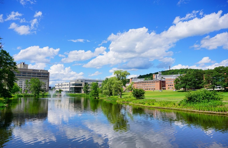 #8 University of Massachusetts Amherst (Amherst, Massachusetts) 