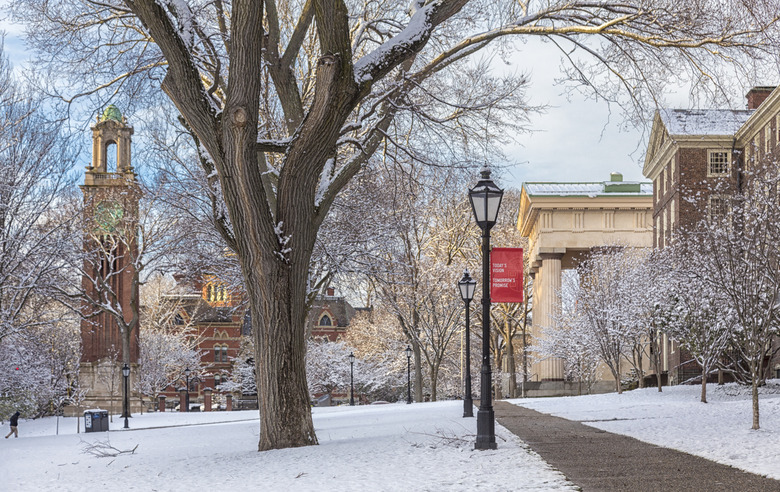 #30 Brown University (Providence, Rhode Island) 