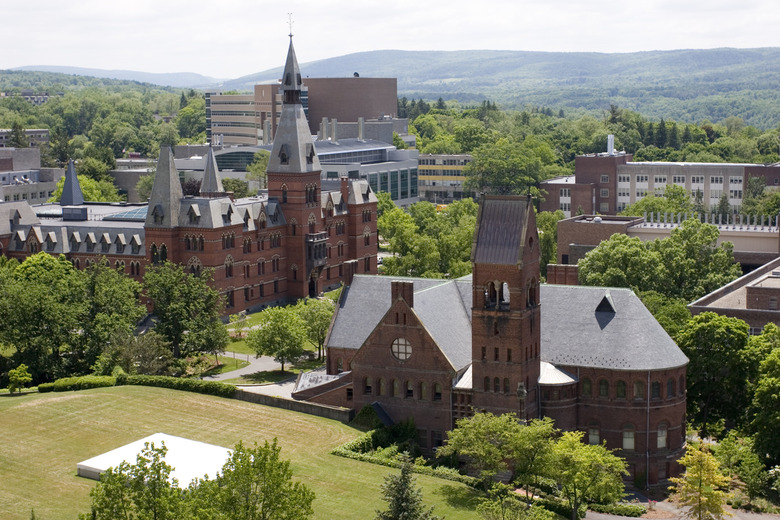 #24 Cornell University (Ithaca, New York) 