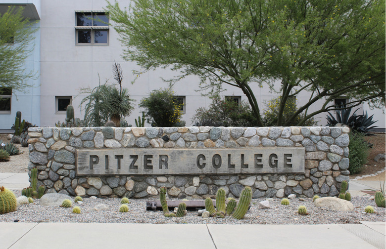 #36 Pitzer College (Claremont, California) 