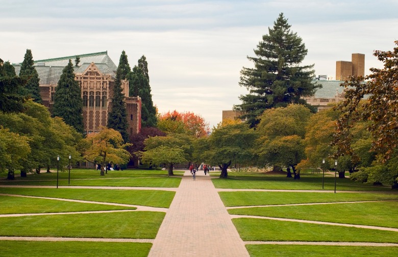 #61 University of Washington (Seattle, Washington) 