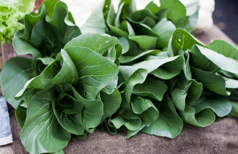 Foods Rich in Calcium