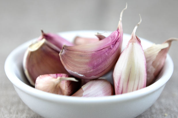 Garlic