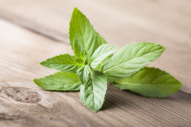 8 Foods to Beat the Heat