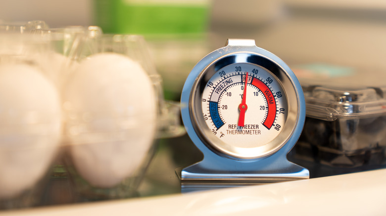 Analog fridge or freezer thermometer on a shelf with background blurred