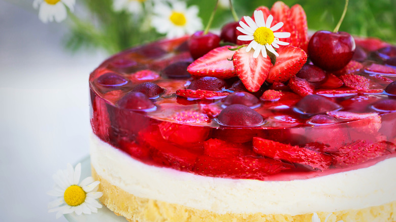 Fruit pudding pie