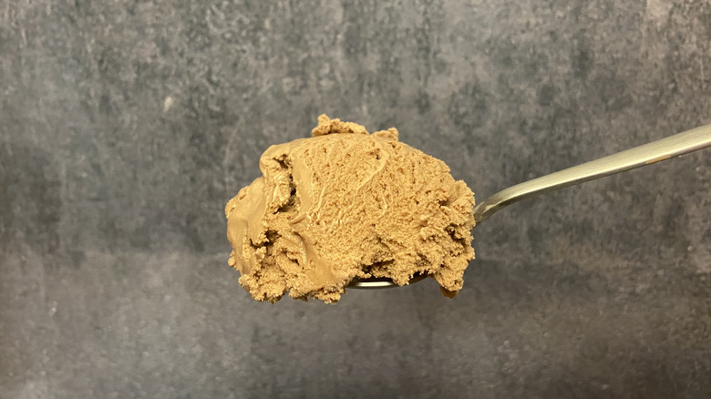 Spoonful of chocolate ice cream