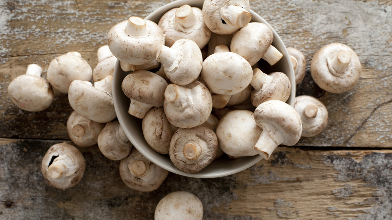 A bowl of fresh mushrooms