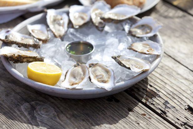 Oysters and Raw Shellfish