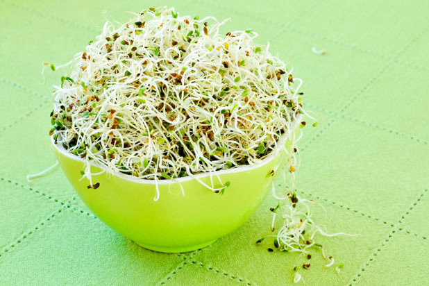 Sprouts