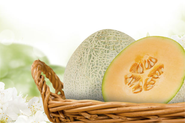Cantaloupe