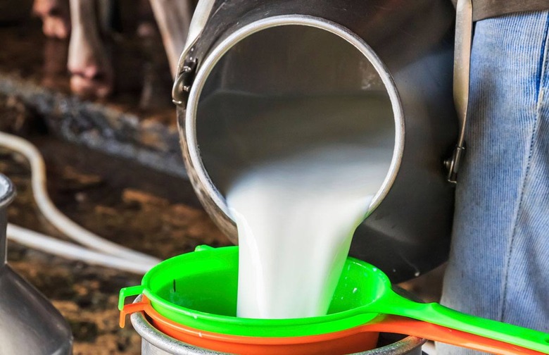 Unpasteurized Dairy Products