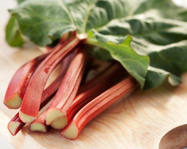 foods you should never eat