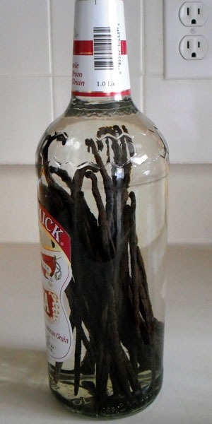 Berry vodka