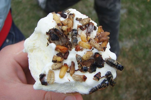 Wildfoods Festival