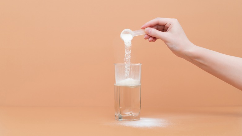 protein powder