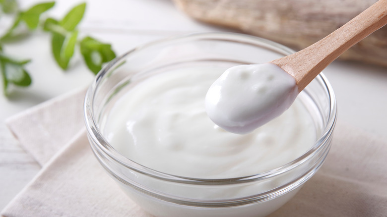 yogurt in bowl with wooden spoon