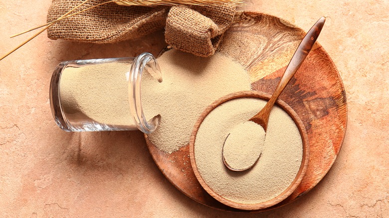 Yeast in a spoon