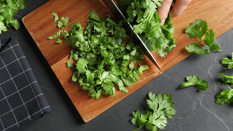 Chopping cilantro on cutting board