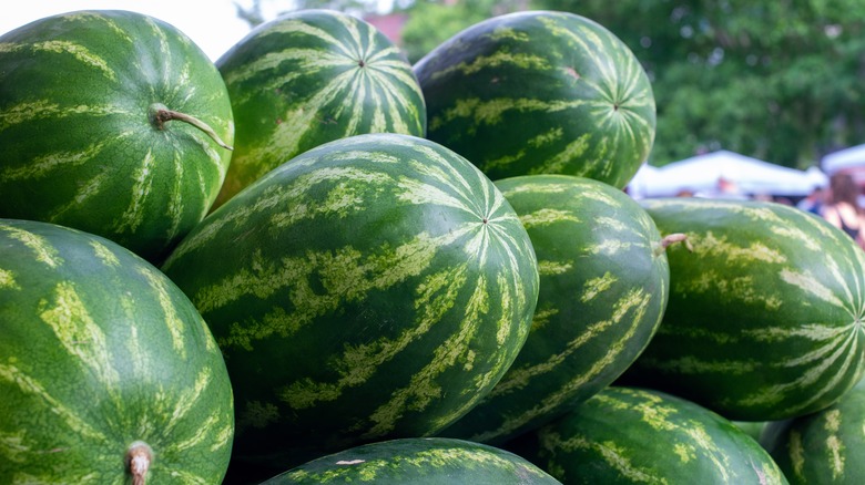 several watermelons in pile 