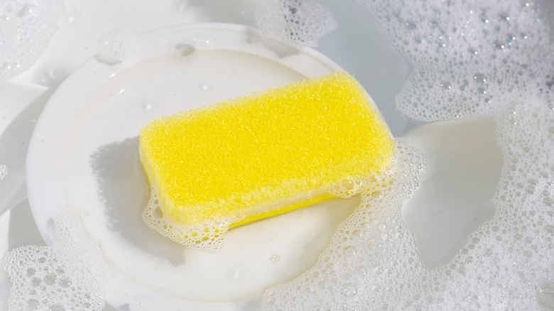 Kitchen sponge on dishes