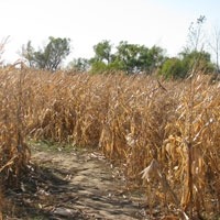 A Harvest Party to Celebrate Autumn