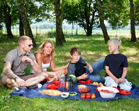 Picnic
