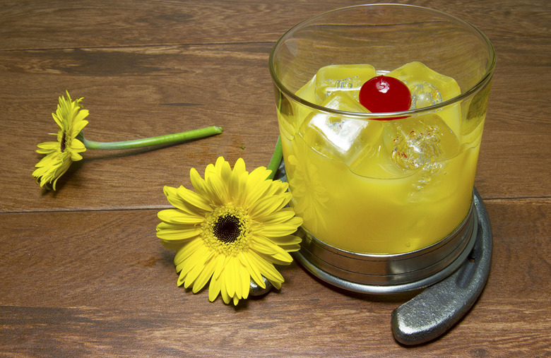 Maryland: Black-eyed Susan 
