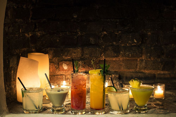 6. Agave, New York