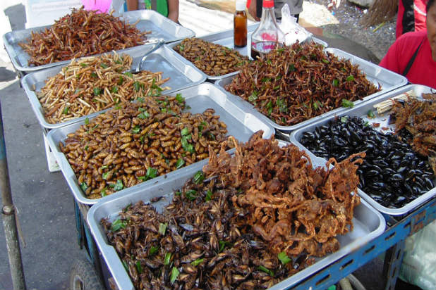 50. Deep-Fried Scorpion, Arizona