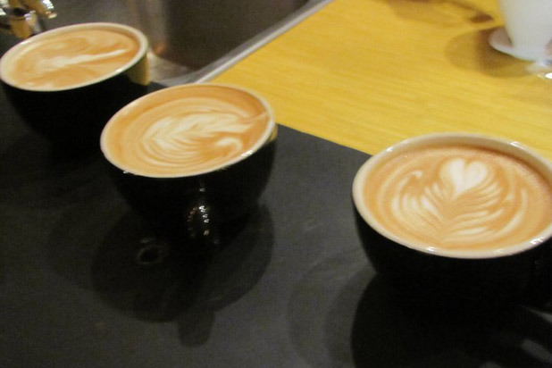 33. Town Hall Coffee Co., Merion Station, Penn. 