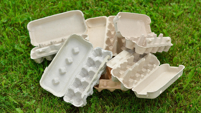 Egg cartons on grass