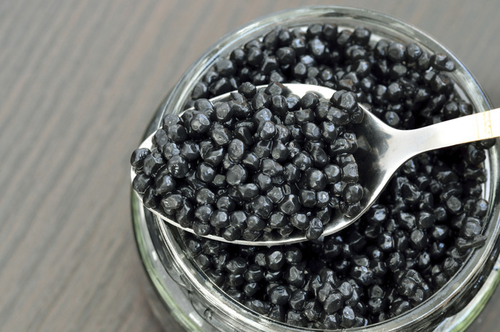Caviar