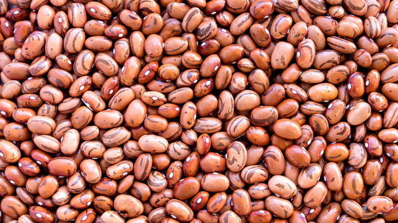 Raw red beans