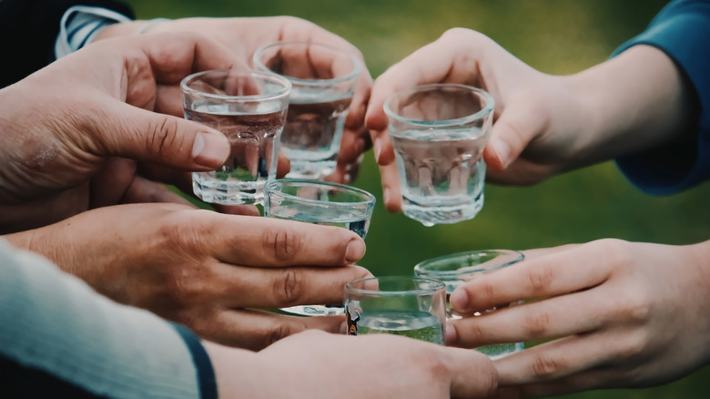 Six people take vodka shots