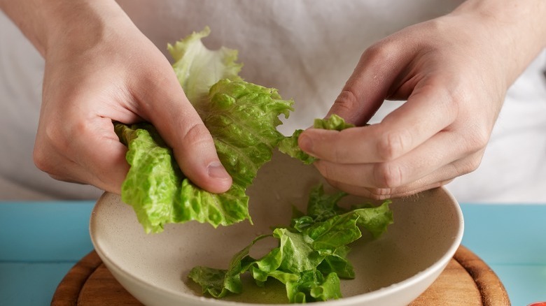 Hands tearing romaine lettuce