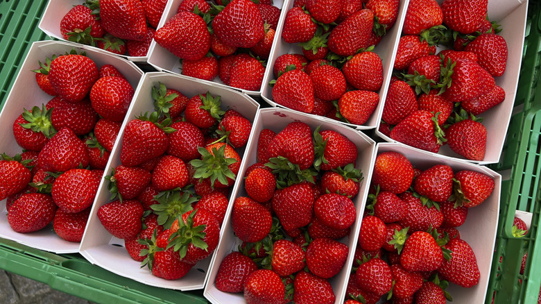 Packaged fresh strawberries on green palette