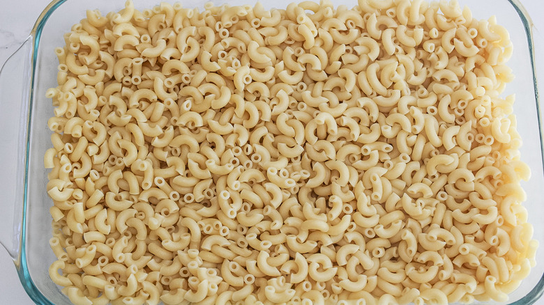 cooked elbow macaroni in pan