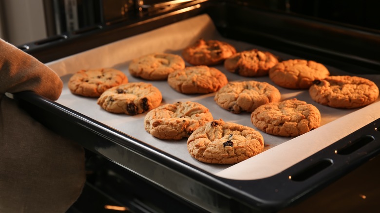 batch of chocolate chip cookies