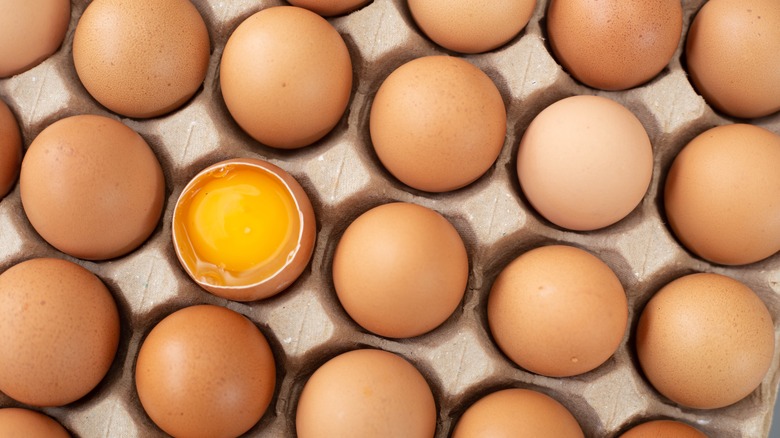 Eggs in carton