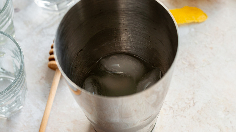 cocktail in a shaker