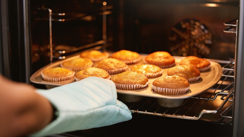 hand putting muffins in an oven