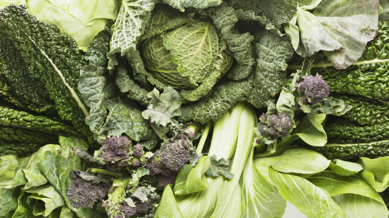 A variety of leafy greens