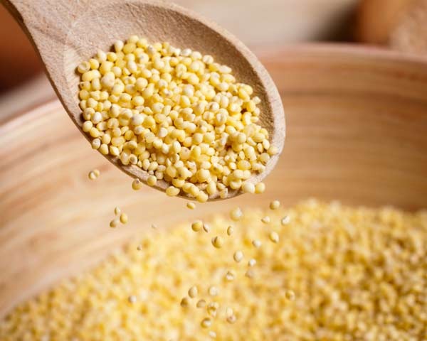 Whole Grains
