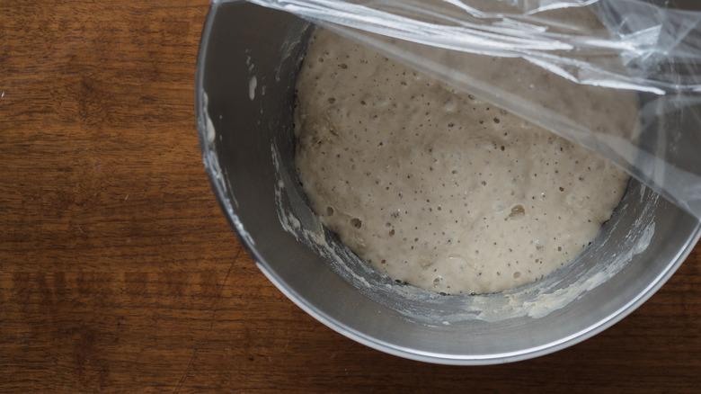 Poolish in bowl 