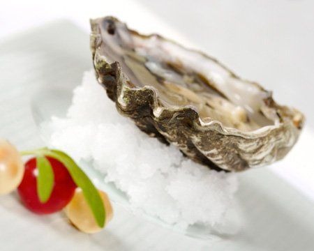 Oysters