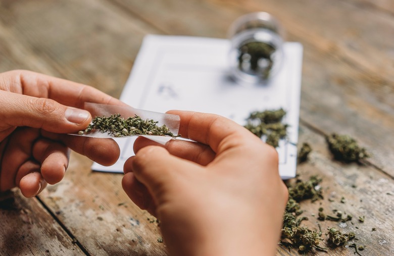 Marijuana is a gateway drug