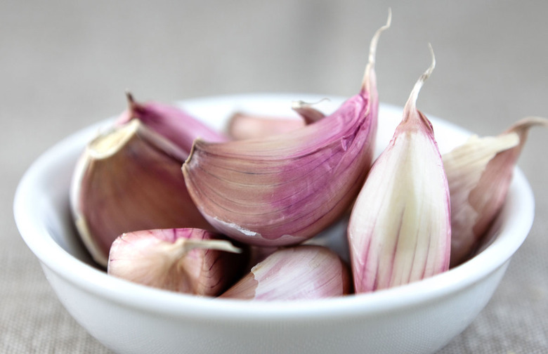 Garlic