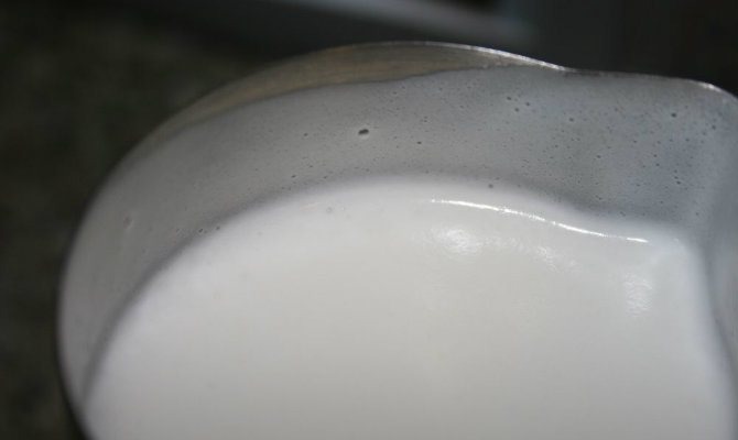 Foamy milk